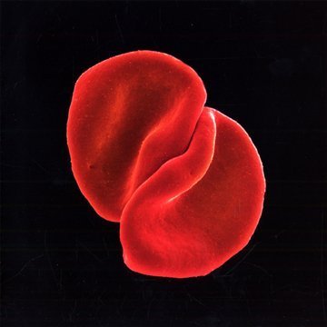 Peter Gabriel/Scratch My Back@Import-Eu